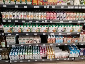 info at Gasshô in Setubal