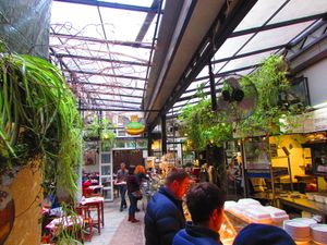 Chimera at Chimera in Krakow