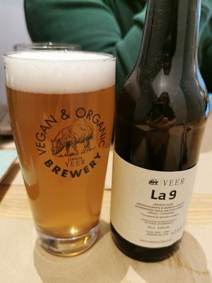  at Punto Vegano in Madrid