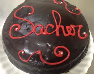 vegan gluten free sacher torte  at Pepo's - Gelateria Naturale and Kitchen Lab in Pontedera