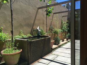 Bringing the outside inside! at Pe d'Arroz in Matosinhos