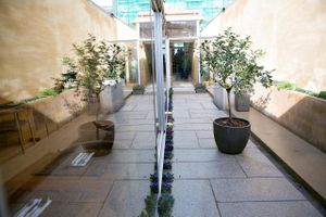 Aromatic garden at Pe d'Arroz in Matosinhos