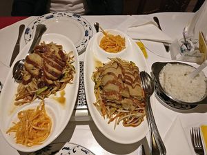 left: vegan delicious "duck" with fresh veggies and right: vegan delicious crispy chicken with fresh veggies at Asia Paradies in Vienna