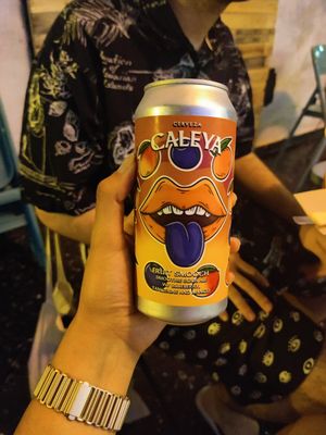 Berry beer at Lata de Zinc in Oviedo