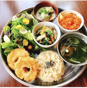 Pure Organic Vegen Thali at Havan Dining in Niigata