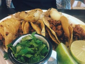 Tacos at Revolucion Verde - Colonia Primavera in Monterrey