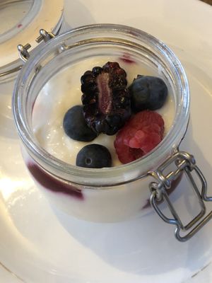 Vegan mousse and wild fruit coulis  at Casa Scaparone in Alba