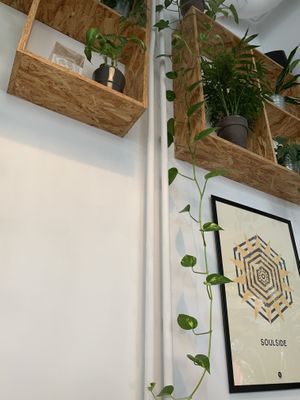 interiors at Lokal Vegan Bistro in Warsaw
