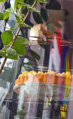 Dessert and political messages 👍 at Lokal Vegan Bistro in Warsaw