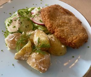 Vegan polish food!  at Lokal Vegan Bistro in Warsaw