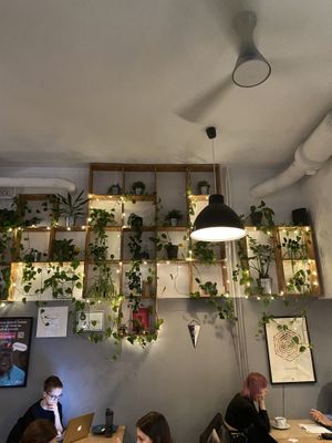   at Lokal Vegan Bistro in Warsaw