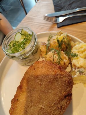  at Lokal Vegan Bistro in Warsaw