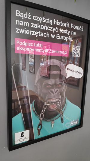  at Lokal Vegan Bistro in Warsaw