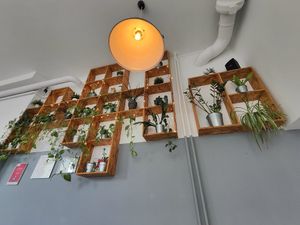  at Lokal Vegan Bistro in Warsaw