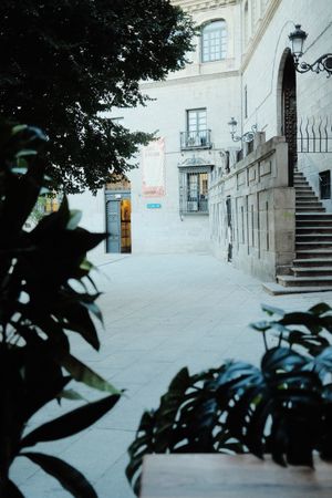 The view from the table  at VIVA in Madrid