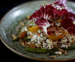 Brown rice, roasted beetroot, quinoa, radicchio, green beans and a white wine vinaigrette. $13. at Soma in Sydney