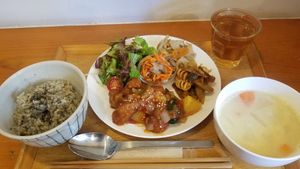 vegan lunch (labeled vegan on the menu in English) of fake karaage, rice, soup, salad with sesame dressing, pasta salad, carrot salad, and lotus root mixed vegetables with hot tea at Gaia - Ochanomizu Branch in Tokyo