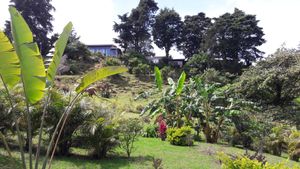 View of the guesthouse from the garden at Puerta de Jade in Alajuela