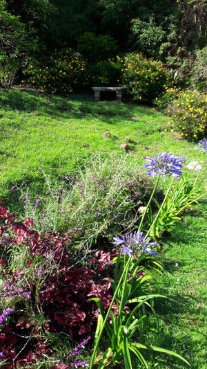 garden at Puerta de Jade in Alajuela