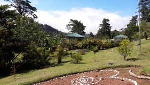 Our garden's love at Puerta de Jade in Alajuela