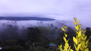 Mountains in the mist and meditation room at Puerta de Jade in Alajuela