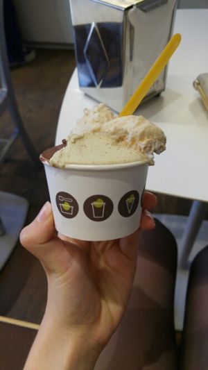 the best at Ciacco Gelato Senz'altro in Milan