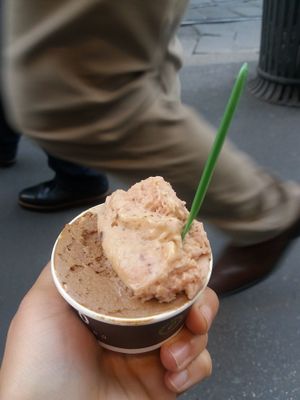 Fig and hazelnut chocolate at Ciacco Gelato Senz'altro in Milan