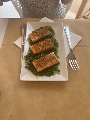   at Sanus in Fuerteventura