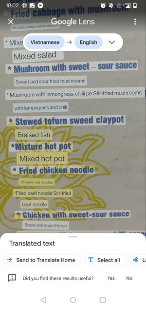 Maybe 'stewed tofurn' is actually 'braised fish'? at Thien Phu in Hue