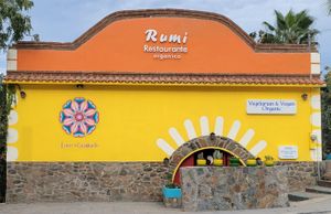  at Rumi Garden in Todos Santos