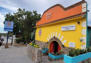  at Rumi Garden in Todos Santos