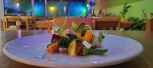  at Rumi Garden in Todos Santos