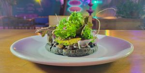  at Rumi Garden in Todos Santos