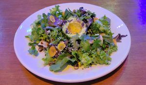  at Rumi Garden in Todos Santos