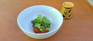  at Rumi Garden in Todos Santos