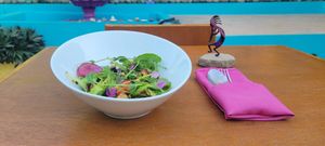  at Rumi Garden in Todos Santos