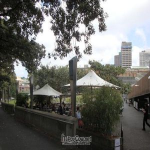 Outdoor seating area at Bodhi in Sydney