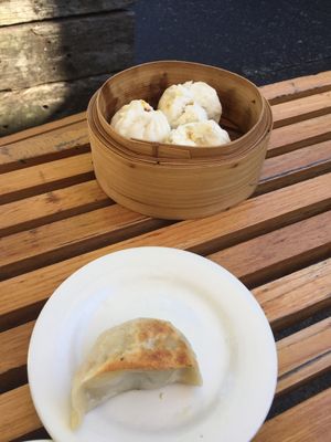 Yum cha  at Bodhi in Sydney
