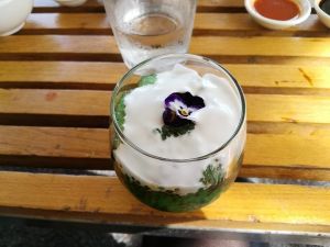 sago pudding at Bodhi in Sydney