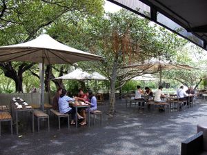 Bodhi at Bodhi in Sydney