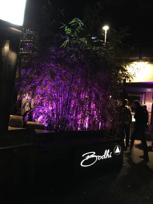 Entry at Bodhi in Sydney