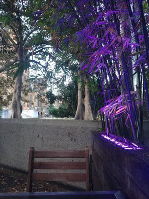 view from a table at Bodhi in Sydney