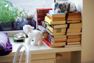 Cafe Velicious, kostenlose Bücher zum Mitnehmen. at Velicious in Berlin