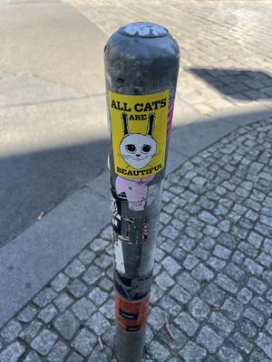   at Velicious in Berlin