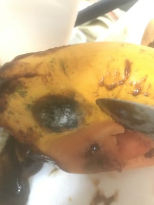 Papaya with mould  at Vegetariano Social Clube Delivery in Rio De Janeiro