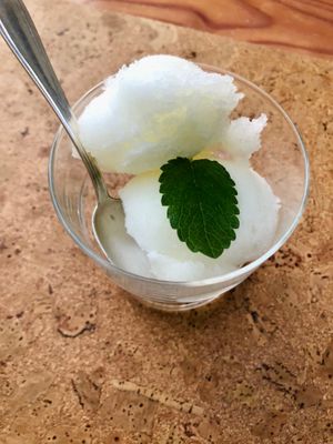 Lemon sorbet at Eco Rooms Slovenia in Sela Nad Podmelcem