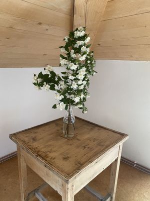 Flowers in the room  at Eco Rooms Slovenia in Sela Nad Podmelcem