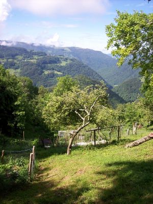 our garden at Eco Rooms Slovenia in Sela Nad Podmelcem