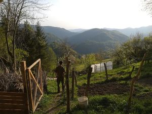 vegetable garden at Eco Rooms Slovenia in Sela Nad Podmelcem