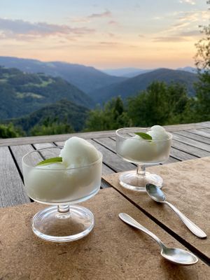 Homemade lemon sorbet. at Eco Rooms Slovenia in Sela Nad Podmelcem